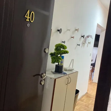 Guest house Niva *